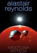 Migotliwa wstęga. T. 1, Pościg / Chasm city, Pościg