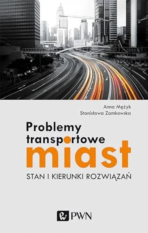 Problemy transportowe miast stan i kierunki rozwiązań