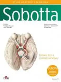 Sobotta atlas anatomii człowieka : angielskie mianownictwo anatomiczne. [T. 3], Głowa, szyja i układ nerwowy  / Sobotta : Atlas der Anatomie : Kopf, Hals und Neuroanatomie, Głowa, szyja i układ nerwowy