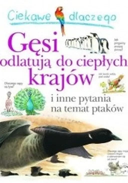 Ciekawe dlaczego gęsi odlatują do ciepłych krajów i inne pytania na temat ptaków