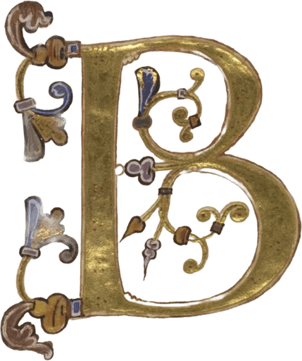 Heraldry for BlekitnyFerny