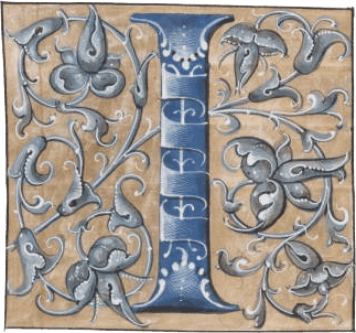 Heraldry for inżynierRo