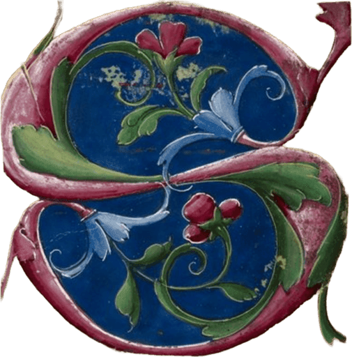 Heraldry for SrebrnyGandalf