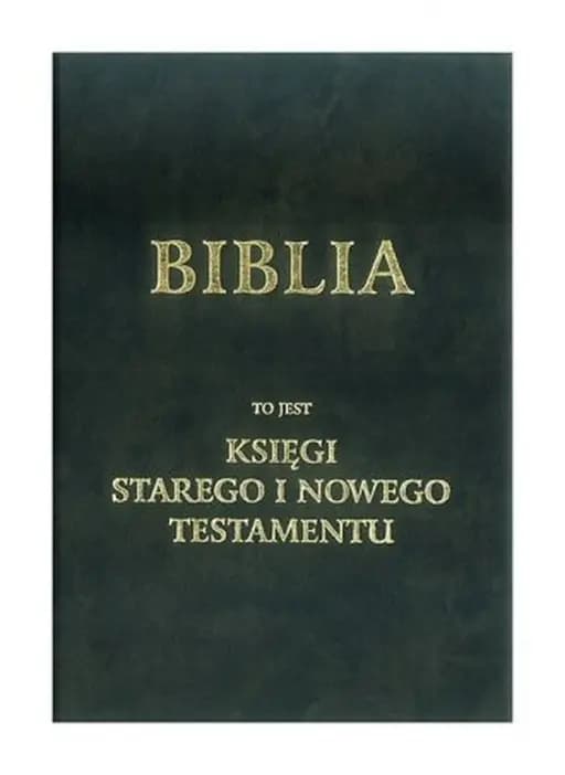 Okładka książki „Biblia to jest ksiegi starego i nowego testamentu”
