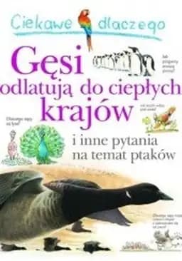Okładka książki „Ciekawe dlaczego gęsi odlatują do ciepłych krajów i inne pytania na temat ptaków”