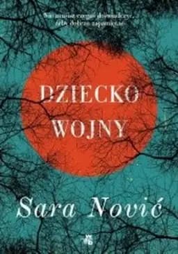 Okładka książki „Dziecko wojny / Girl at war : a novel, Don Kichot i Sancho Pansa”