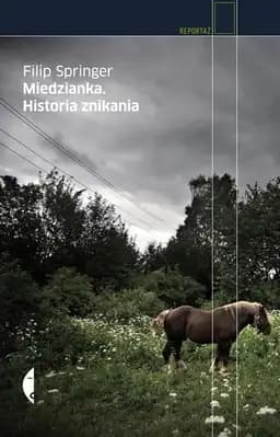 Okładka książki „Miedzianka historia znikania” — Filip Springer