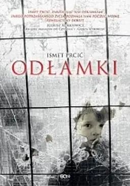 Okładka książki „Odłamki / ...shards...”