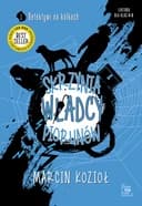 Okładka książki „Skrzynia Władcy Piorunów” — Marcin Kozioł