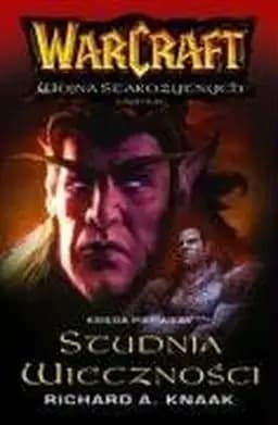Okładka książki „Studnia wieczności” — Richard A. Knaak