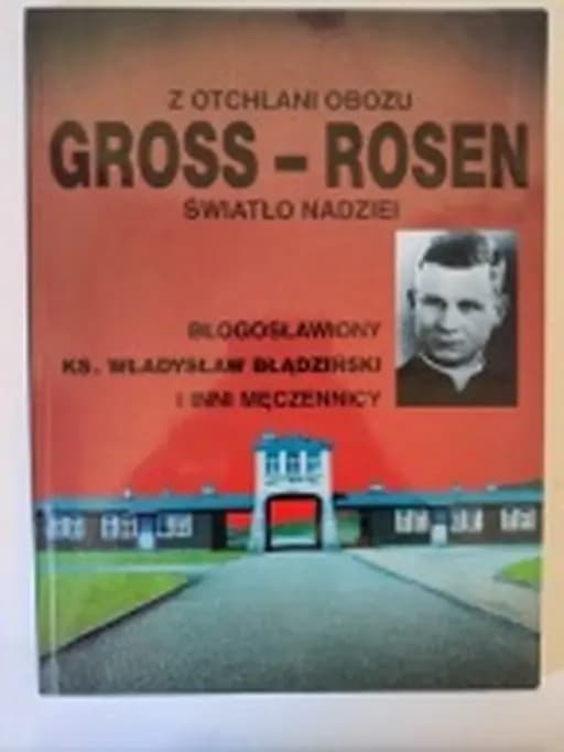 Okładka książki „Z otchłani Gross-Rosen światło nadziei” — Władysław Bochnak