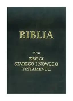 Okładka książki „Biblia to jest ksiegi starego i nowego testamentu”
